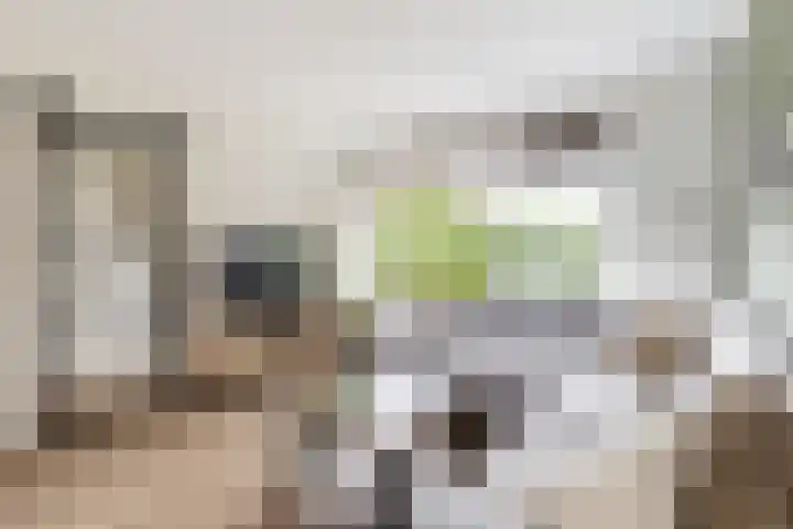 Molenlaan 5 Maasdam thumbnail 5