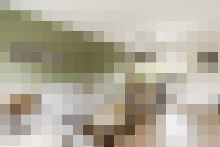 Molenlaan 5 Maasdam thumbnail 6