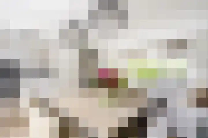 Molenlaan 5 Maasdam thumbnail 7