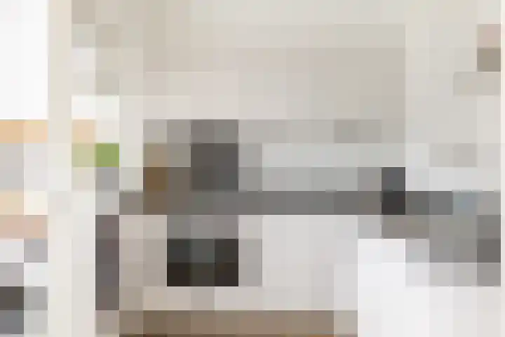 Molenlaan 5 Maasdam thumbnail 8
