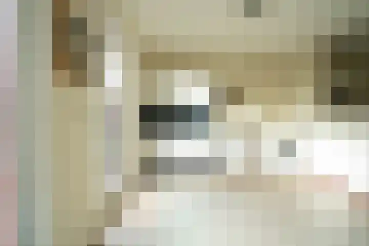 Molenlaan 52 Deurne thumbnail 13