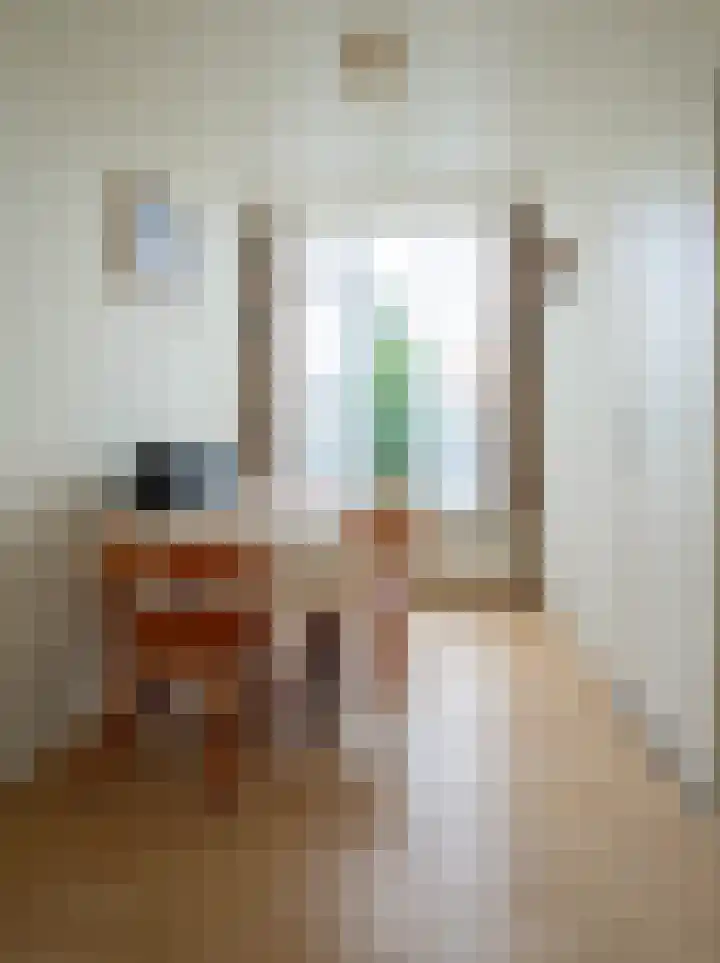 Molenlaan 52 Deurne thumbnail 16