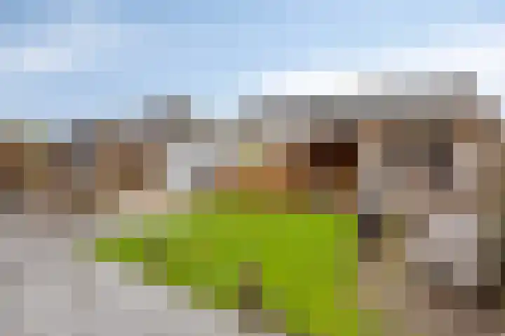 Molenlaan 52 Deurne thumbnail 24