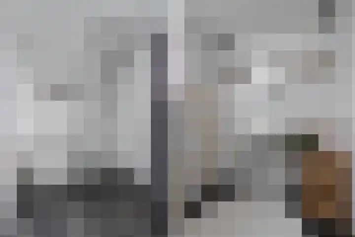 Molenlaan 52 Deurne thumbnail 25