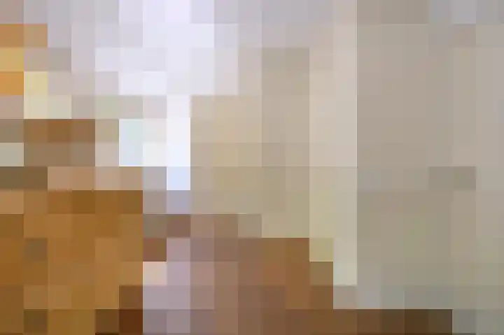 Molenlaan 52 Deurne thumbnail 26