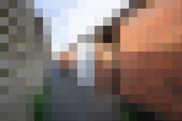 Molenlaan 52 Deurne thumbnail 35