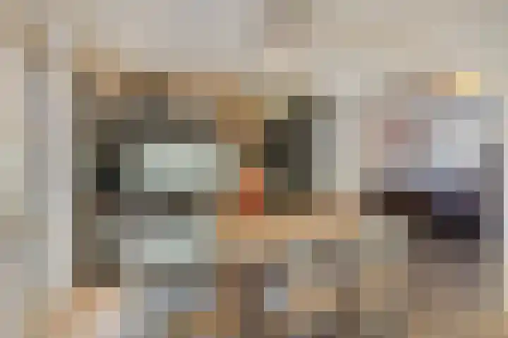 Molenlaan 52 Deurne thumbnail 37