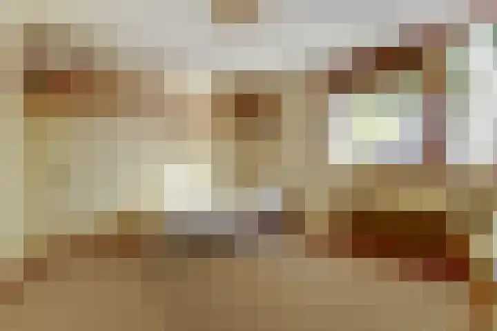 Molenlaan 58 Honselersdijk thumbnail 11