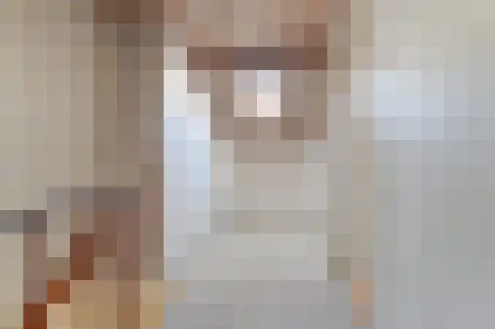 Molenlaan 58 Honselersdijk thumbnail 13