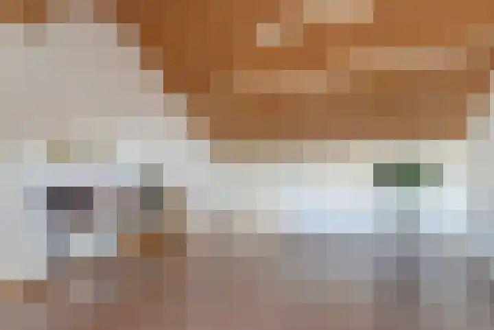 Molenlaan 58 Honselersdijk thumbnail 14