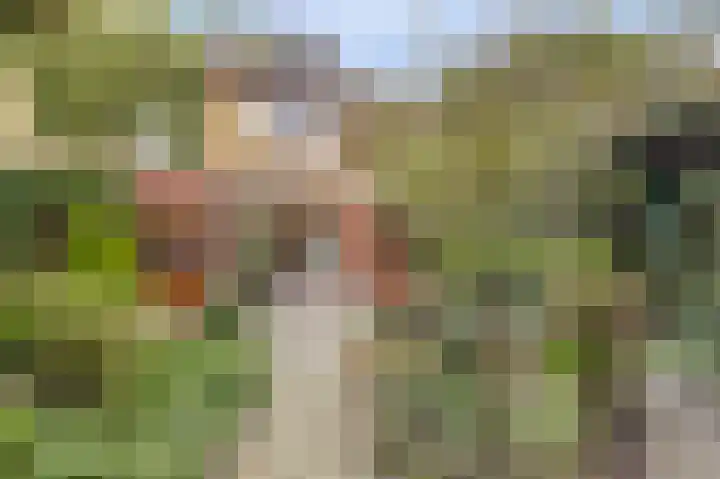 Molenlaan 58 Honselersdijk thumbnail 23