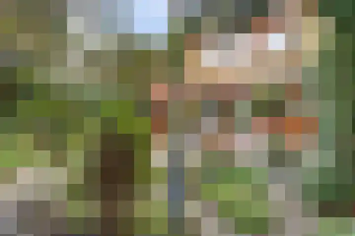 Molenlaan 58 Honselersdijk thumbnail 24