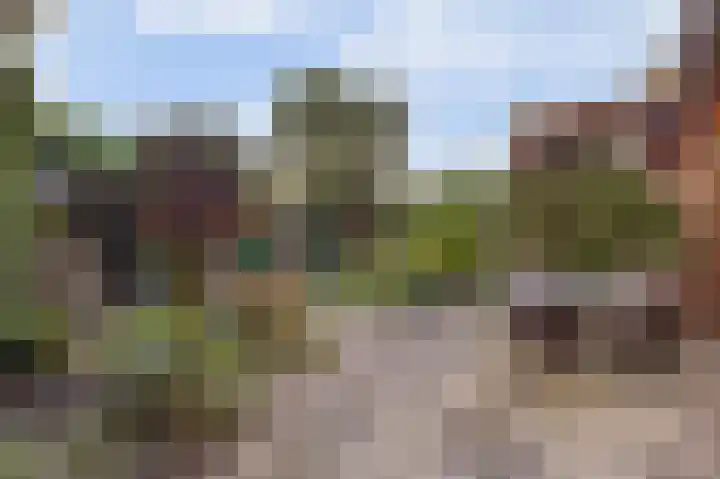 Molenlaan 58 Honselersdijk thumbnail 25