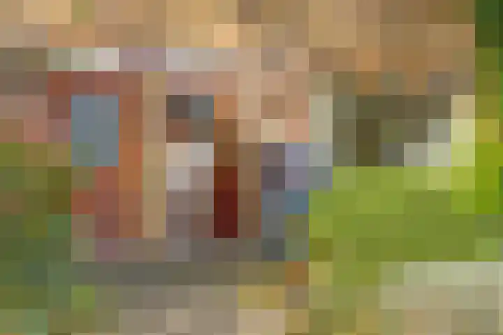 Molenlaan 58 Honselersdijk thumbnail 26