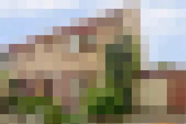 Molenlaan 58 Honselersdijk thumbnail 27
