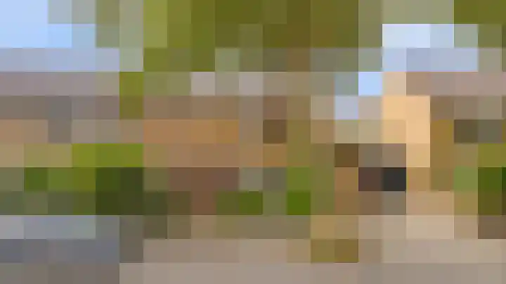 Molenlaan 58 Honselersdijk thumbnail 28