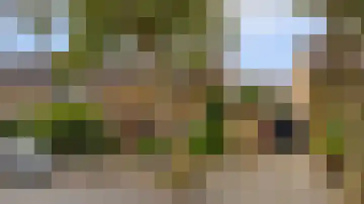 Molenlaan 58 Honselersdijk thumbnail 29