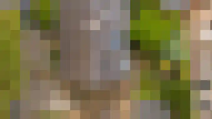 Molenlaan 58 Honselersdijk thumbnail 30