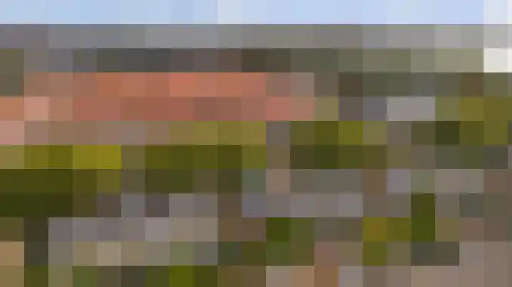 Molenlaan 58 Honselersdijk thumbnail 31