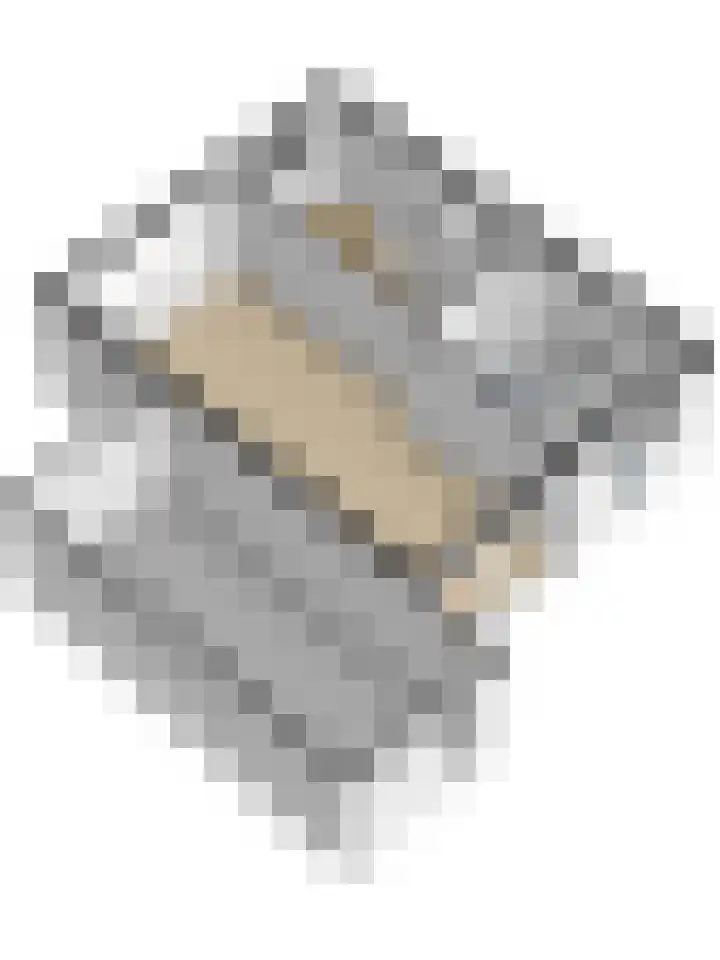 Molenlaan 58 Honselersdijk thumbnail 34