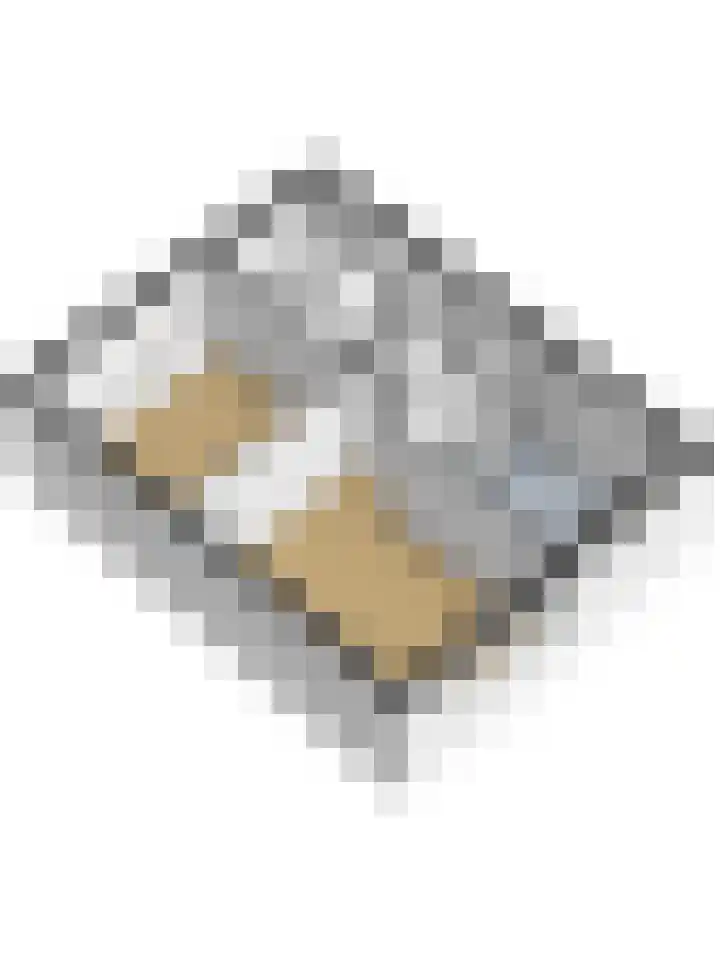 Molenlaan 58 Honselersdijk thumbnail 36