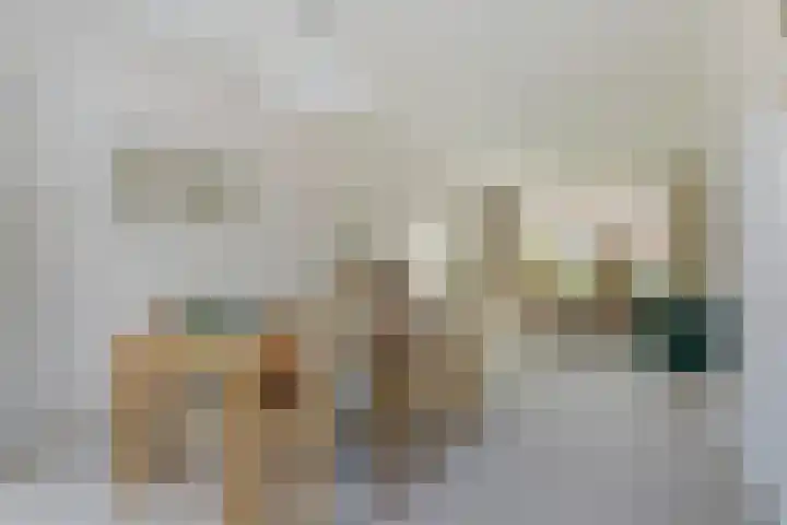 Molenlaan 58 Honselersdijk thumbnail 5