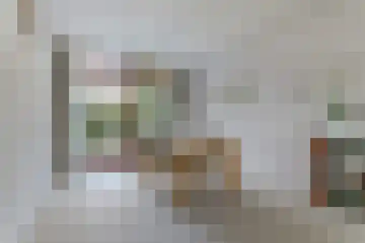 Molenlaan 58 Honselersdijk thumbnail 6