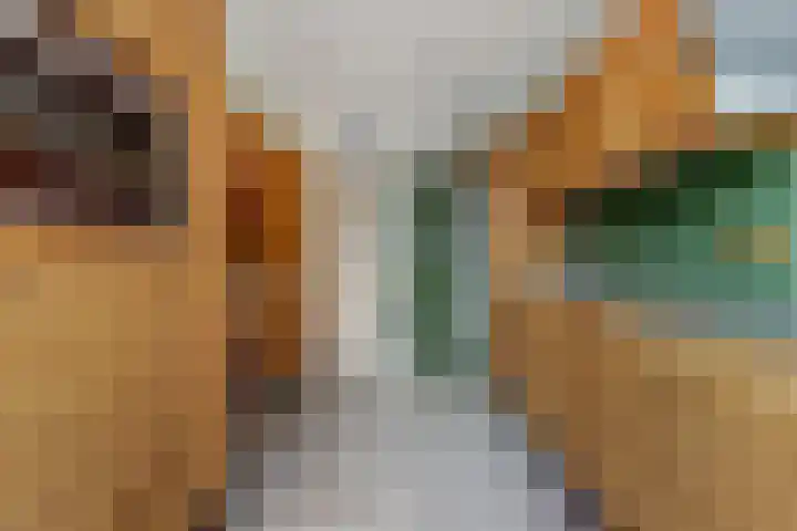 Molenlaan 58 Honselersdijk thumbnail 7