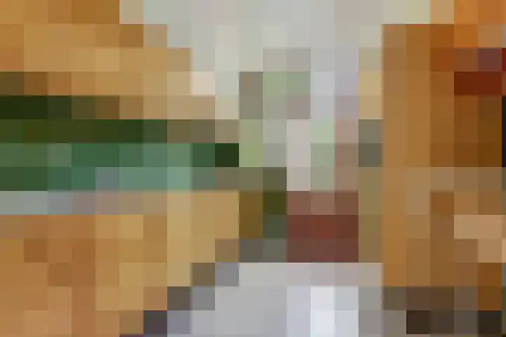Molenlaan 58 Honselersdijk thumbnail 8