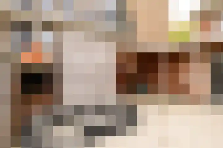 Molenlaan 59 Honselersdijk thumbnail 11