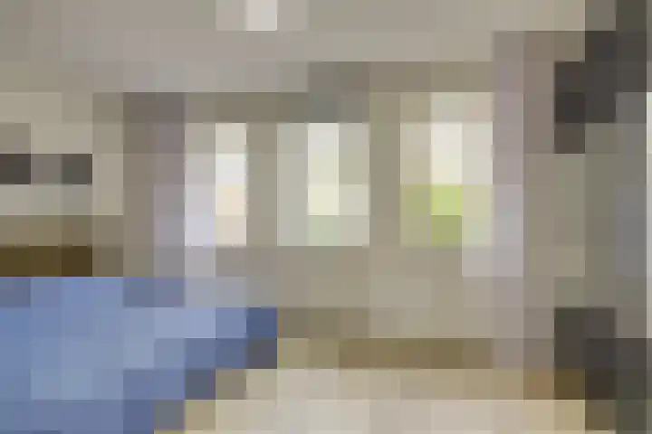Molenlaan 59 Honselersdijk thumbnail 16