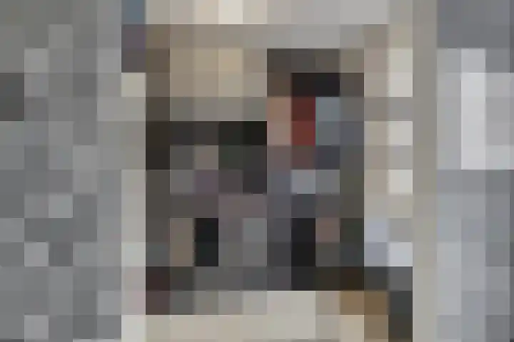 Molenlaan 59 Honselersdijk thumbnail 23