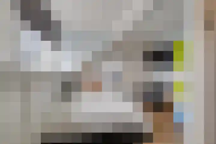 Molenlaan 59 Honselersdijk thumbnail 25