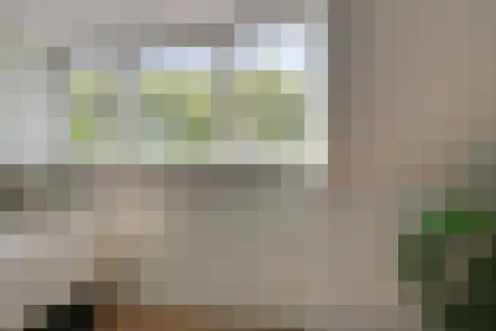 Molenlaan 59 Honselersdijk thumbnail 27