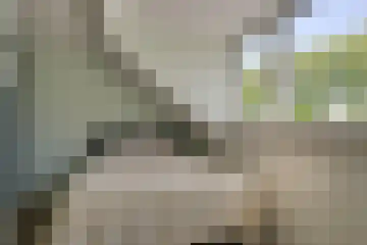Molenlaan 59 Honselersdijk thumbnail 28
