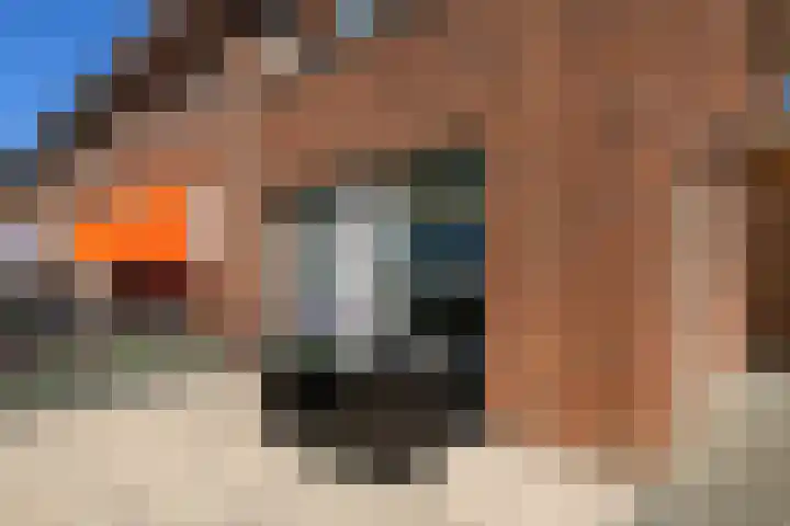 Molenlaan 59 Honselersdijk thumbnail 31