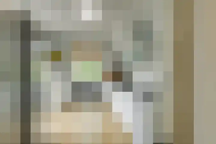 Molenlaan 59 Honselersdijk thumbnail 4