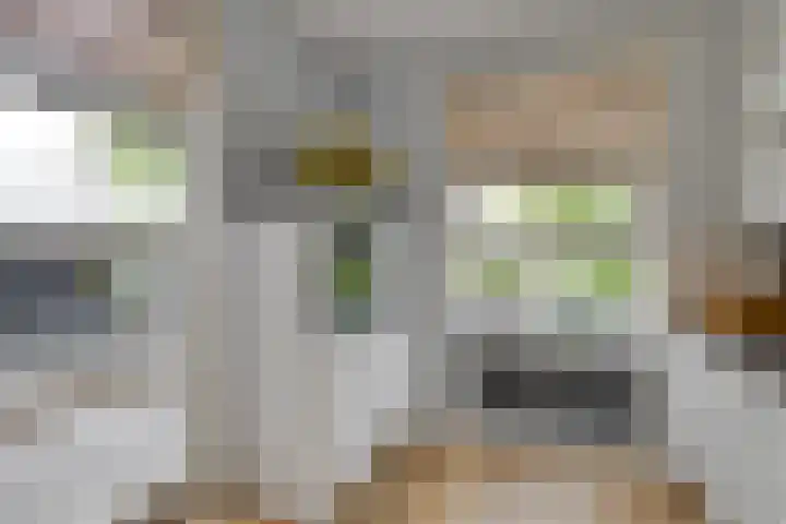 Molenlaan 59 Honselersdijk thumbnail 5