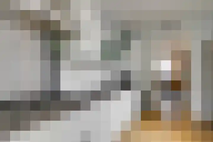 Molenlaan 59 Honselersdijk thumbnail 6