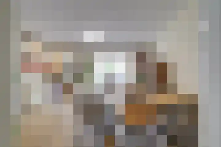 Molenlaan 59 Honselersdijk thumbnail 7