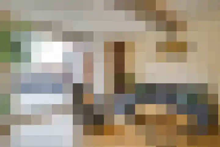Molenlaan 59 Honselersdijk thumbnail 8