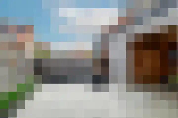 Molenlaan 59 Honselersdijk thumbnail 9