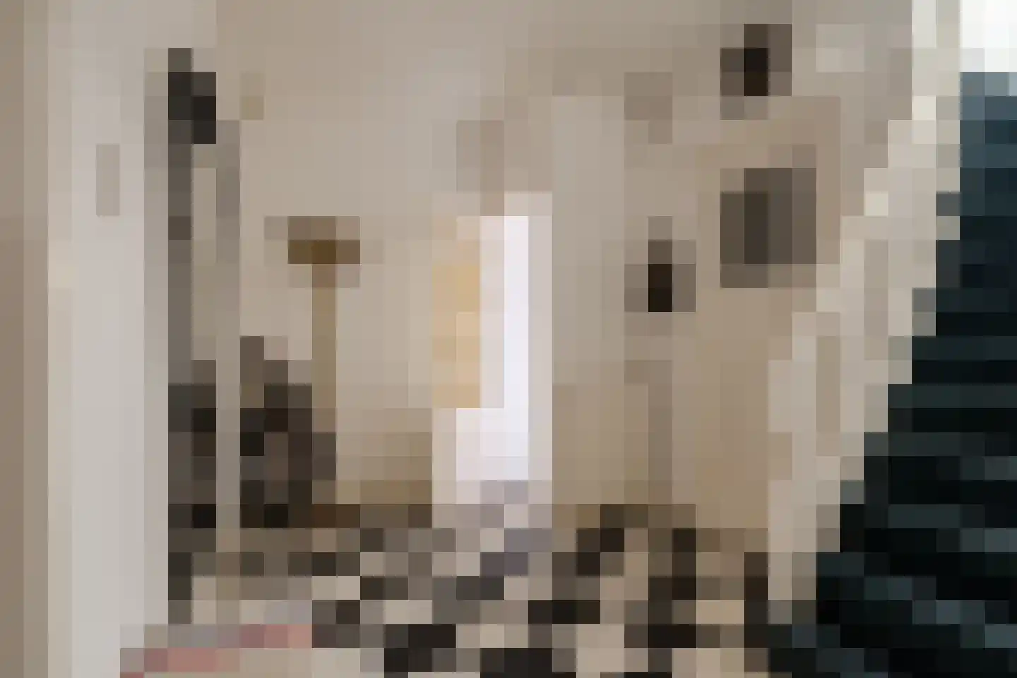 Molenlaan 7 Heemstede thumbnail 10