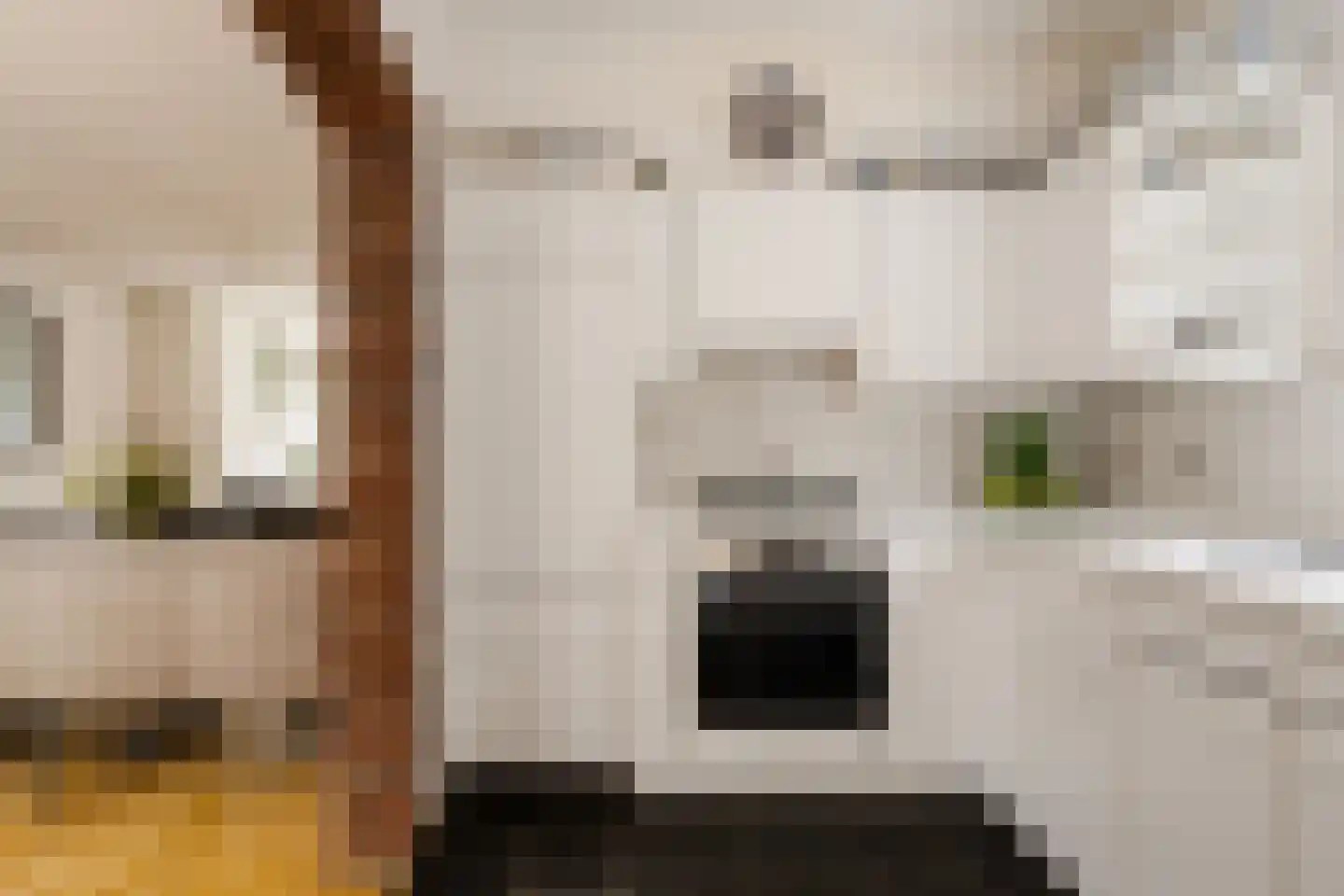 Molenlaan 7 Heemstede thumbnail 24