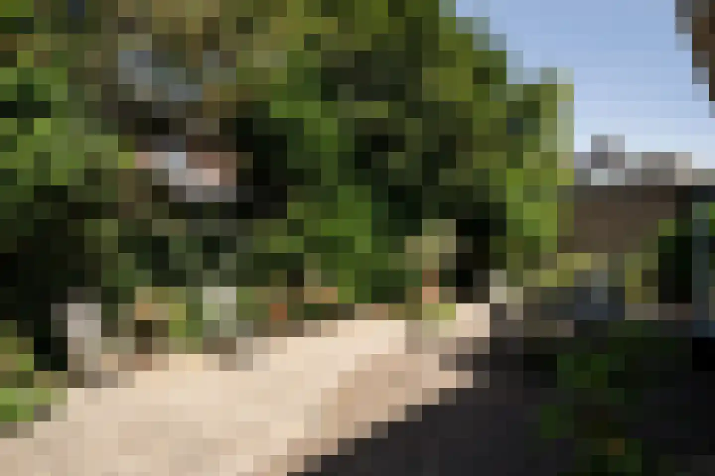 Molenlaan 7 Heemstede thumbnail 32