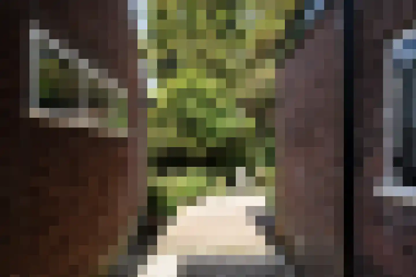 Molenlaan 7 Heemstede thumbnail 34