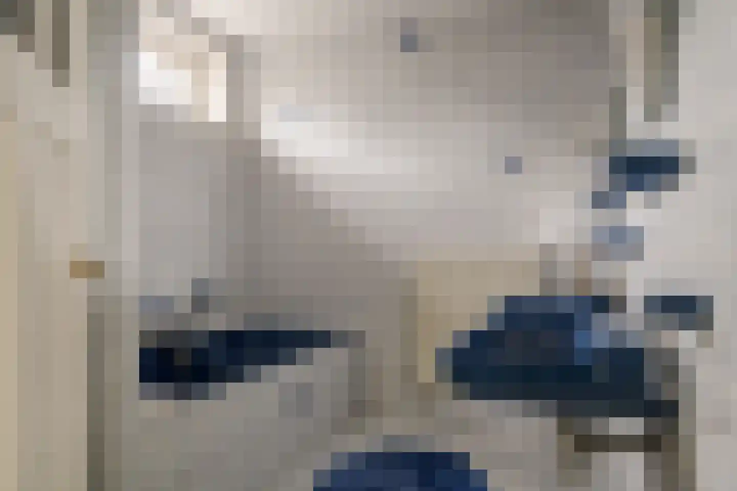 Molenlaan 7 Heemstede thumbnail 45