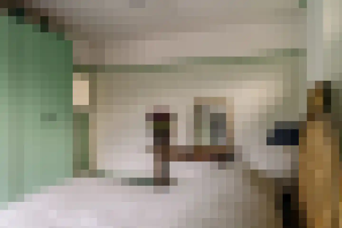 Molenlaan 7 Heemstede thumbnail 53