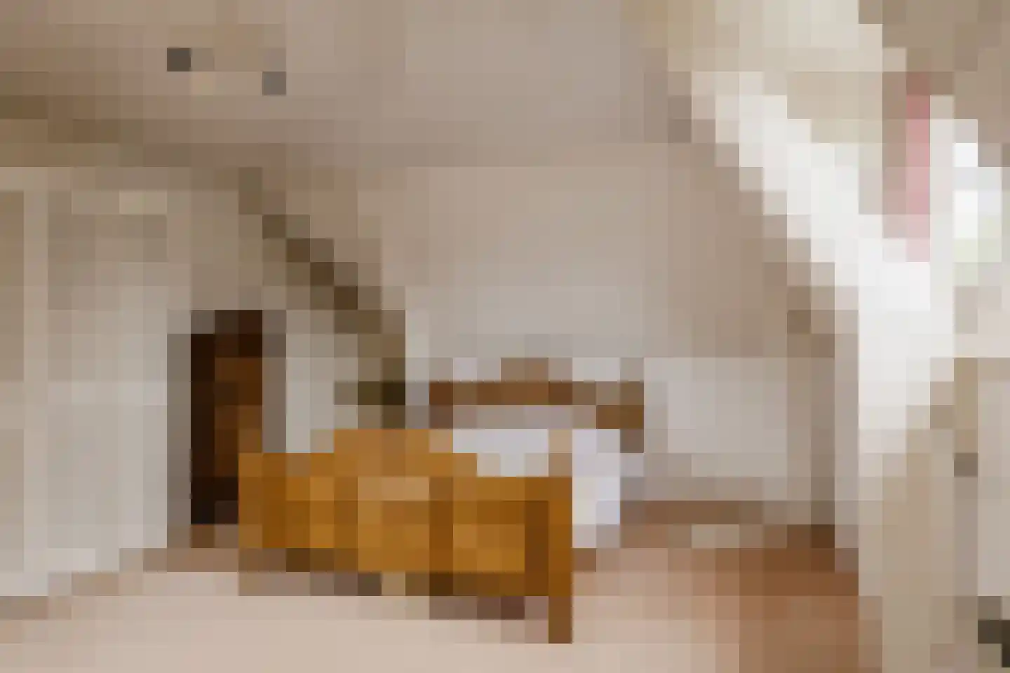 Molenlaan 7 Heemstede thumbnail 62