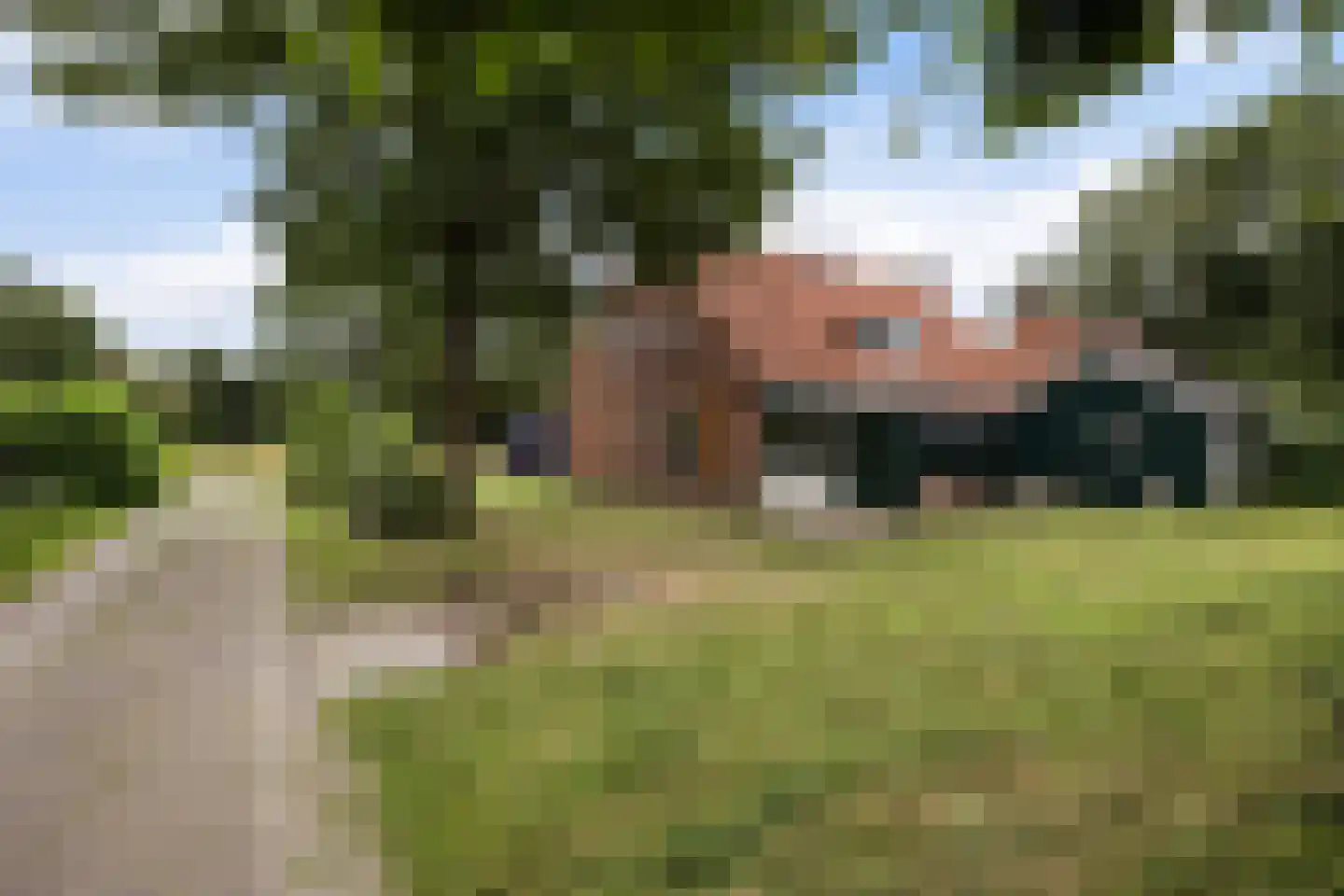 Molenlaan 7 Nieuw Beerta thumbnail 17